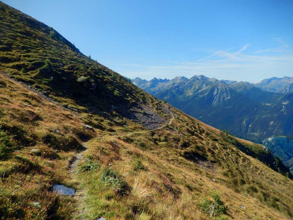 Il bel sentiero in traverso che porta da Planaval al Col Fetita (2557 m).